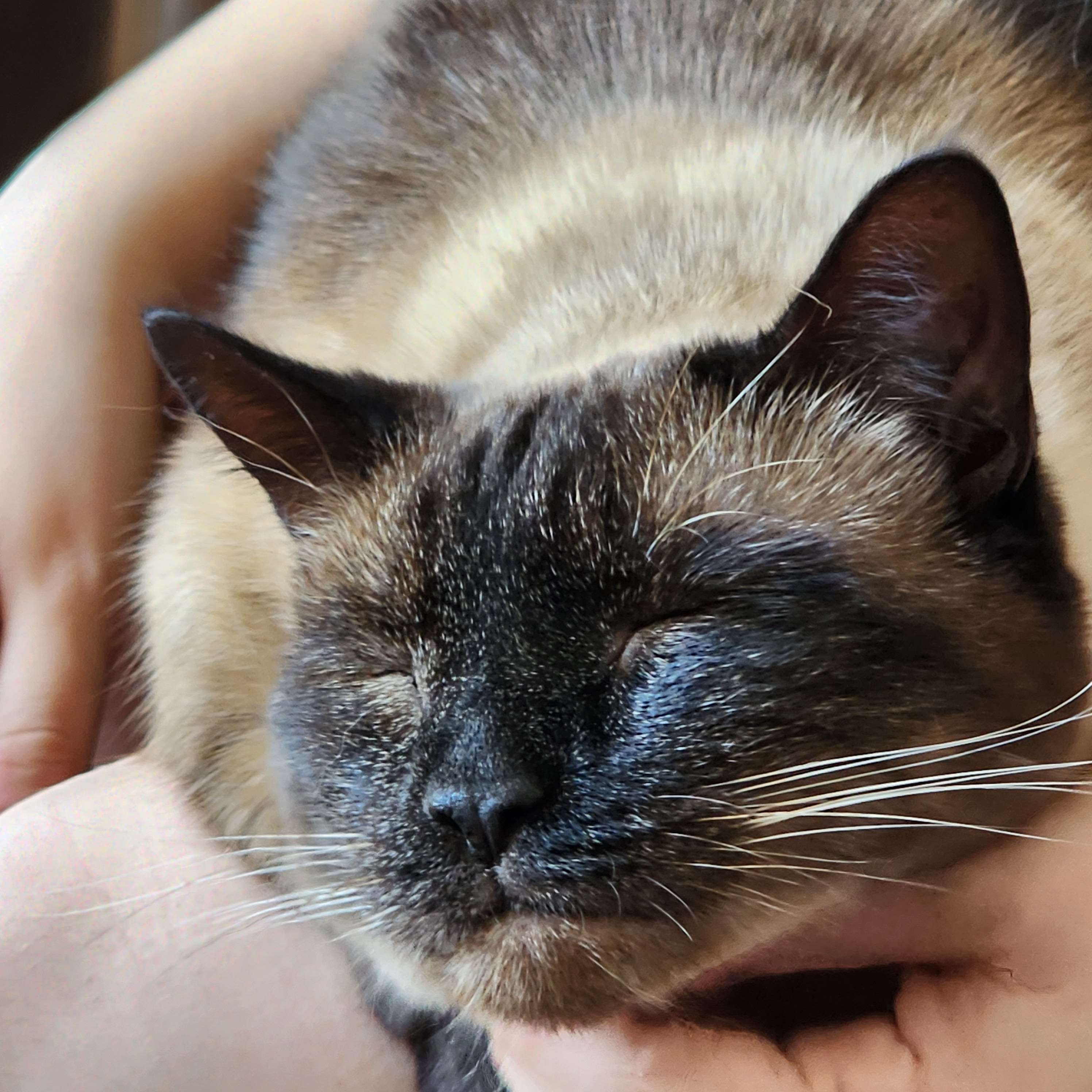 gus smiling